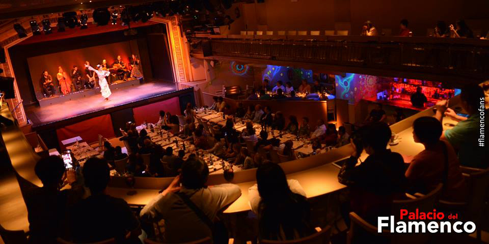 Palacio del Flamenco Palacio del Flamenco