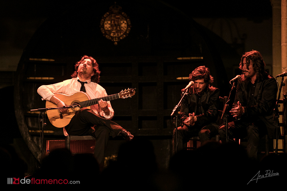 Antonio Rey - Festival de Jerez