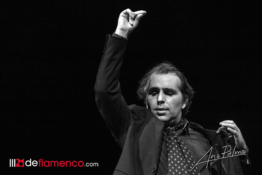 Pepe Torres - Bilbao Flamenco