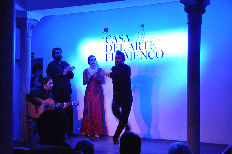 Casa del Arte Flamenco - Granada
