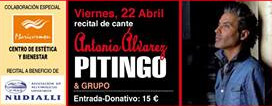 Pitingo, Flamenco Activo