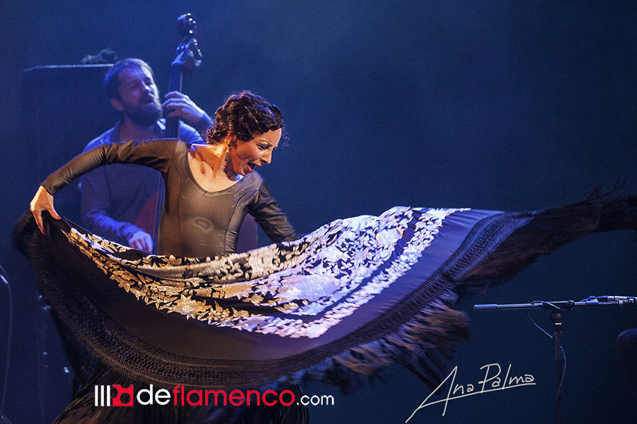 Ultra High Flamenco - Festival de Jerez