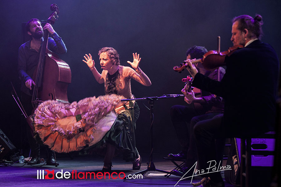 Ultra High Flamenco - Festival de Jerez