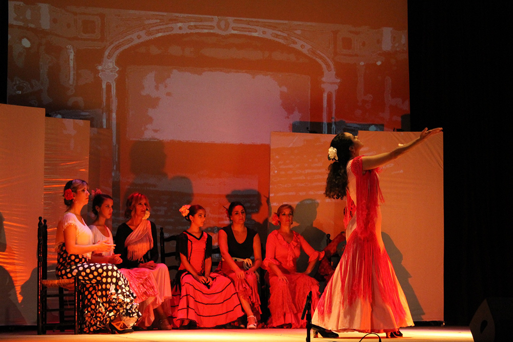 Estudio Flamenco Carmen de Torres