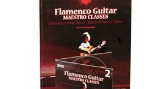 Flamenco guitar maestro classes Vol 2 (DVD+LIBRO) - Paco Fernández