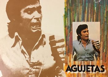 En la verea  (vinilo) - Agujetas