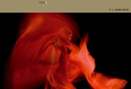 Revista El Canon -  Nº 2 SARA BARAS - SÁBICAS - SOLEÁ