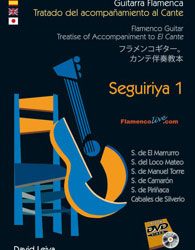 David Leiva -  Tratado del Acompañamiento al Cante - Seguiriya .Vol. 1