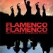 Carlos Saura -  Flamenco