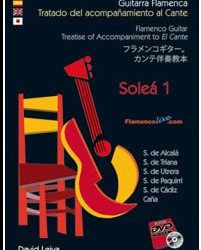 David Leiva -  Tratado del Acompañamiento al Cante - Soleá .Vol. 1