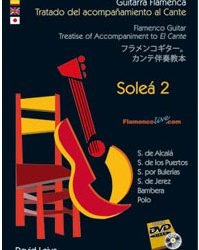 David Leiva -  Tratado del Acompañamiento al Cante - Soleá .Vol. 2