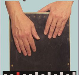 Manuel Salado -  EL CAJÓN FLAMENCO (DVD)