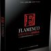VV.AA -  Discoteca Basica Flamenco. 10 Cd