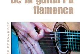 Javier Fernández -  Las bases de la guitarra flamenca