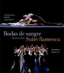 Compañía de Antonio Gades -  Bodas de sangre. Suite flamenca. DVD Pal