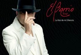 El Barrio - La voz de mi silencio. Tour 08. DVD