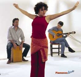 Guillermo McGuill -  Practica el cajón flamenco -