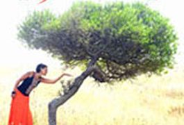 Chambao -  Con otro aire. CD