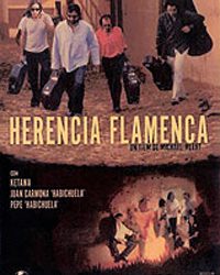 Michael Meert -  Herencia Flamenca - DVD Pal