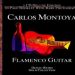 Carlos Montoya -  Flamenco Guitar 2Cd deluxe edition