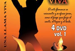 VV.AA -  Serie RTVA . Una llama viva. 4 DVD vol. 1