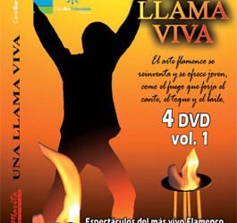 VV.AA -  Serie RTVA . Una llama viva. 4 DVD vol. 1