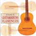 VV.AA. -  Antología de Guitarristas Flamencos
