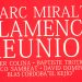 Marc Miralta -  FLAMENCO REUNION