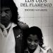 Jerónimo Navarrete -  Los ojos del Flamenco