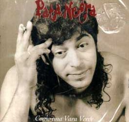 Pata Negra -  Como una vara verde