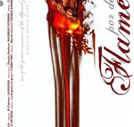 VV.AA -  Flamenco por derecho 4cd. Libro-CDs