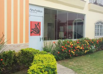 Alma Andaluza Studio de Danza