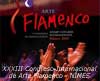XXXIII CONGRESO INTERNACIONAL DE ARTE FLAMENCO. NÍMES 2005.