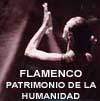 La Unesco delibera si el flamenco es patrimonio de la Humanidad