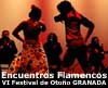VII Encuentros Flamencos – FESTIVAL DE OTOÑO DE GRANADA