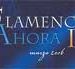 Flamenco Ahora 2006. Albacete.