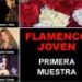 Muestra de Flamenco Joven en el Teatro Español.