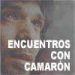 Encuentros sobre Camarón.