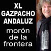 XL FESTIVAL FLAMENCO 'GAZPACHO ANDALUZ'.