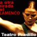 La Otra Mirada del Flamenco 2006.