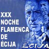 XXX Noche Flamenca de Écija