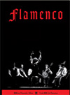Ciclo BBK de Flamenco. Bilbao.