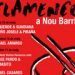 FLAMENCO A NOU BARRIS.