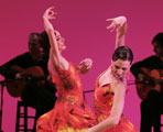 'Flamenco al desnudo'