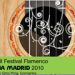 XVIII Festival Flamenco Caja Madrid 2010