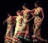 El Festival Mundial de Flamenco inicia su andadura.