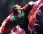 El Ballet Flamenco de Andalucía estrena su ‘Metáfora’ como 'una alegoría a la vida'