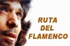Ruta del Flamenco