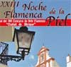 XXIII NOCHE FLAMENCA DE LA PIEL