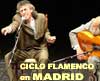 Ciclo Flamenco en Madrid.